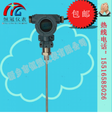  射頻導(dǎo)納液位計(jì)的工作原理如何？